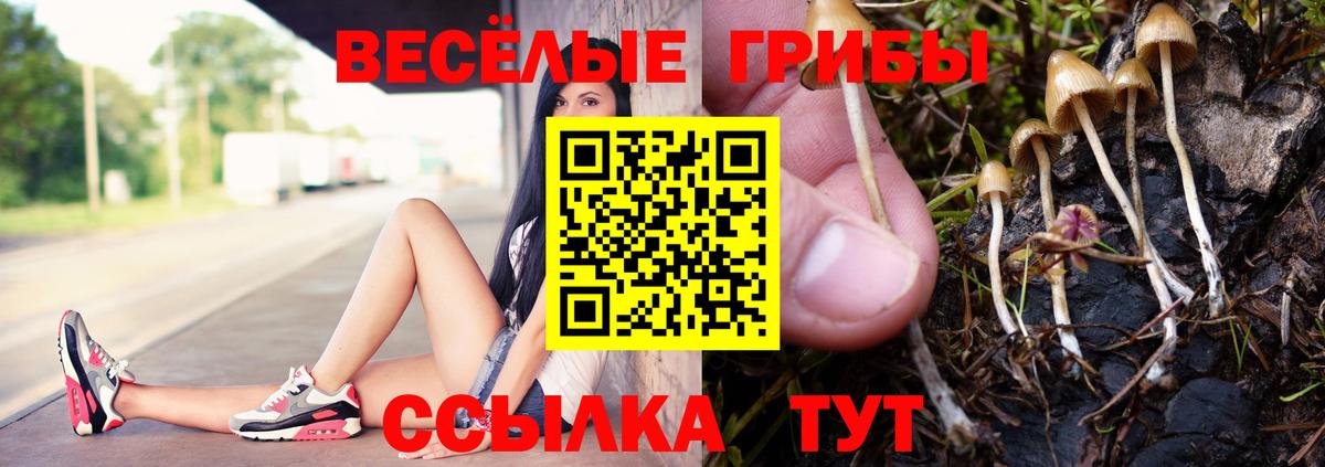 Верхний Уфалей  Галлюциногенные грибы MAGIC MUSHROOMS  Вход с VPN 